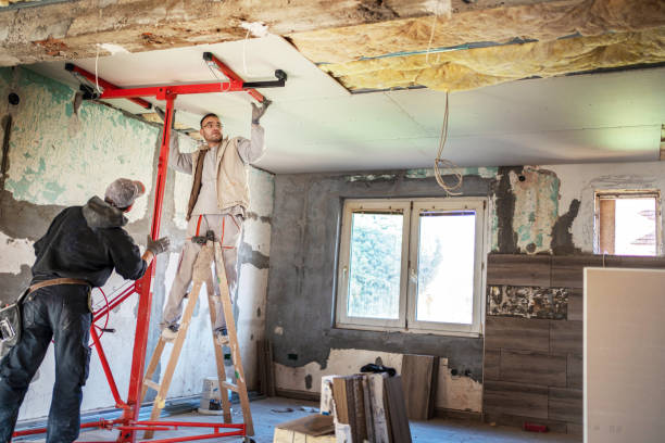 Best DIY Insulation Kits and Guidance in Mehlville, MO
