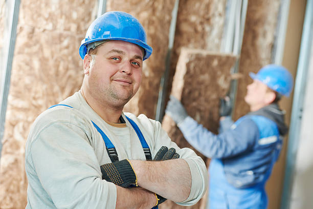 Best Energy Efficiency Insulation in Mehlville, MO