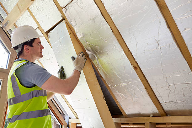 Best Eco-Friendly Insulation in Mehlville, MO