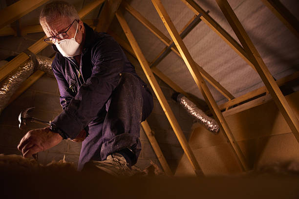 Trusted Mehlville, MO Insulation Contractor Experts