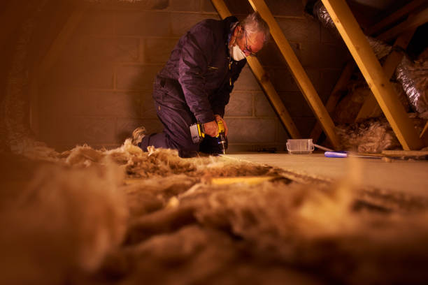 Best Specialized Insulation Services in Mehlville, MO